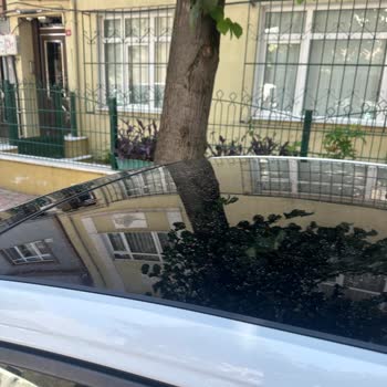 Otel Otoparkında Aracım Zarar Gördü Mağduriyetim Giderilmiyor