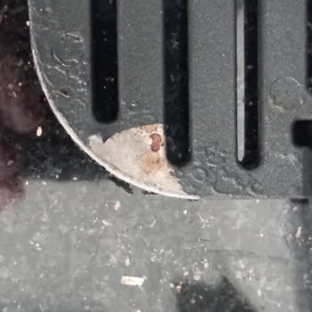 Tefal Airfry Döküm Izgarada Boya Kalkması Ve İletişim Sorunu