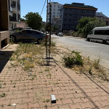 Sultanbeyli Belediyesi Temizlik Hizmeti Eksikliği Ve Yanıltıcı Bilgilendirme