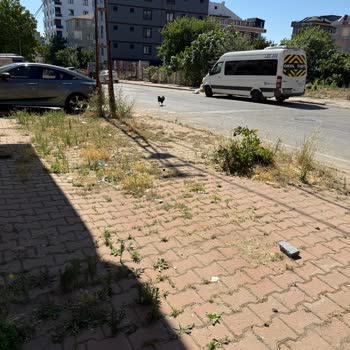 Sultanbeyli Belediyesi Temizlik Hizmeti Eksikliği Ve Yanıltıcı Bilgilendirme