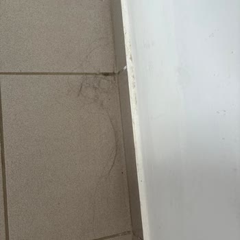 Aile Tatilinde Hijyen Ve Hizmet Sorunları Yaşadık