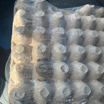 A101 Bozuk Yumurta İadesi Reddedildi, Yetkililer Yardımcı Olmadı