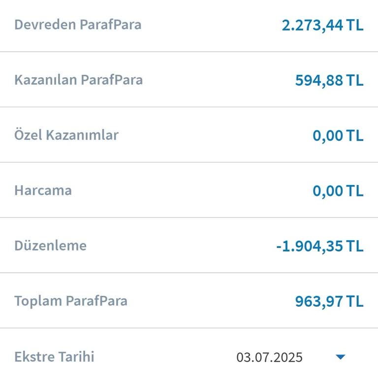 Parafly Kart Puanlarım Aniden Silindi Güvenim Sarsıldı