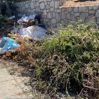 Datça Belediyesi Bahçe Atıklarını Toplamıyor!