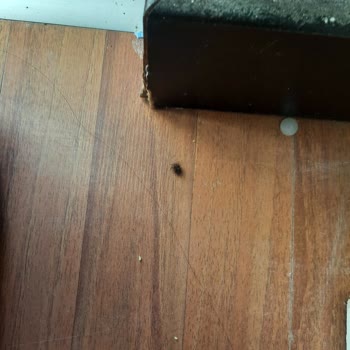 The One Club Otel'de Temizlik Ve Hizmet Sorunlarıyla Yaşanan Mağduriyet