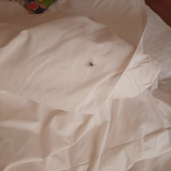 The One Club Otel'de Temizlik Ve Hizmet Sorunlarıyla Yaşanan Mağduriyet