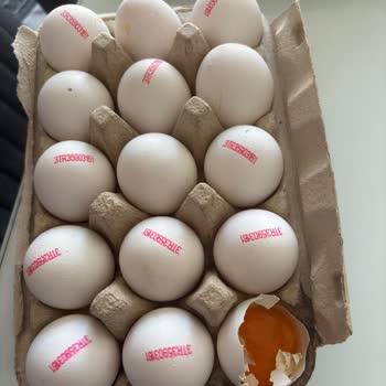 Şok Markette Bozuk Yumurta Ve Saygısız Çalışan Deneyimi