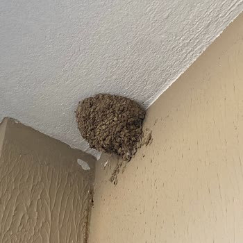 Oda Ve Banyo Hijyen Sorunları Tatilimizi Mahvetti