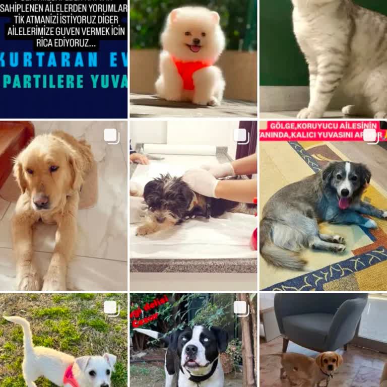 Kurtaran_ev.1 Paramı İade Yapmadılar