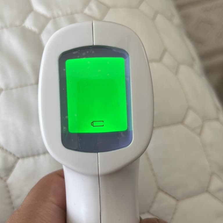 Weewell Ateş Ölçer Ölçüm Yapmıyor, Yeni Pil De Sorunu Çözmedi