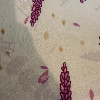 Philips Ev Aletleri Kırışık Açmayan Ve Su Akıtan Ürün