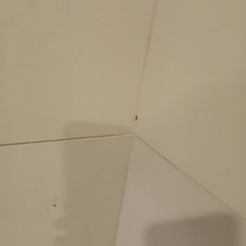 Anpa Gross'ta Ümit Döner'in Hijyen Sorunu Müşterileri Rahatsız Ediyor