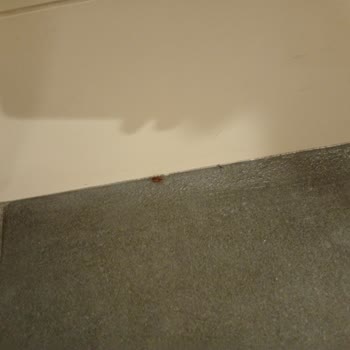 Anpa Gross'ta Ümit Döner'in Hijyen Sorunu Müşterileri Rahatsız Ediyor