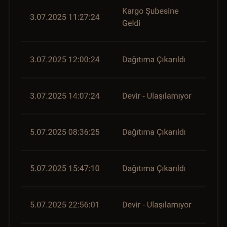 Bir Günde Kargo Vaadiyle Gönderilen Paketim Günlerdir Teslim Edilmiyor