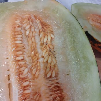 Troya Park AVM'de Sürekli Bozuk Ürün Ve Yetersiz Hizmet