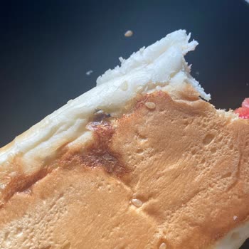 Ekmek İçinde Ölü Sinek Şoku