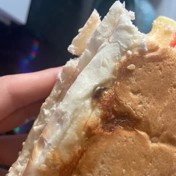 Ekmek İçinde Ölü Sinek Şoku