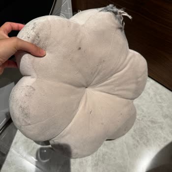 Bosch Çamaşır Makinesi Yastık Parçaladı Ve Sürekli Arıza Çıkarıyor