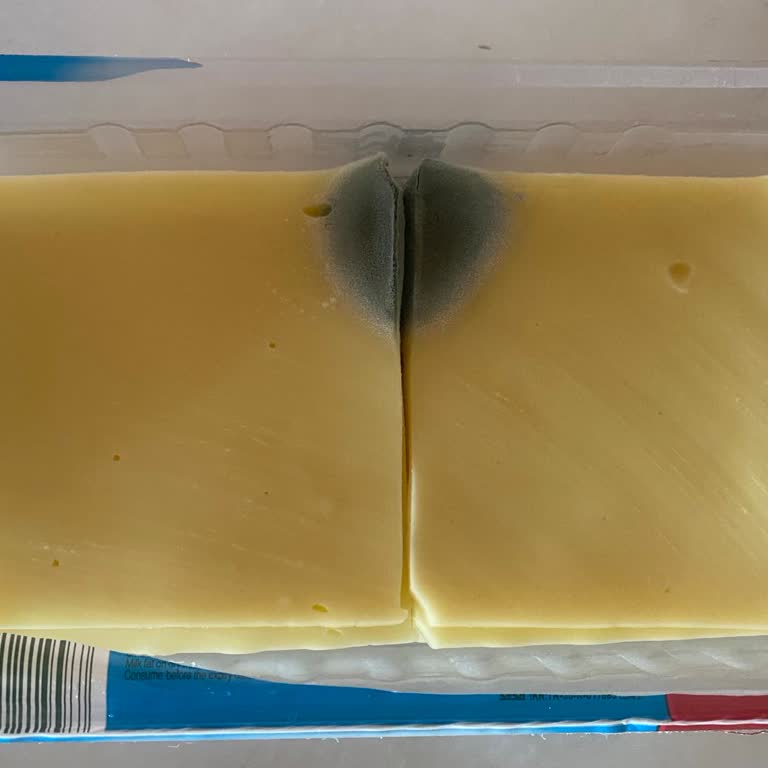 Aldığım Tost Peyniri Son Kullanma Tarihine Rağmen Küflü Çıktı