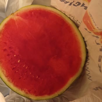 Market Şubesinden Alınan Karpuz Bozuk Çıktı, İade Etmek Zorunda Kaldım