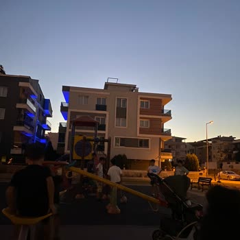 Park Bakım ve Oyun Alanı Sorunu