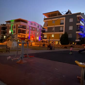 Park Bakım ve Oyun Alanı Sorunu