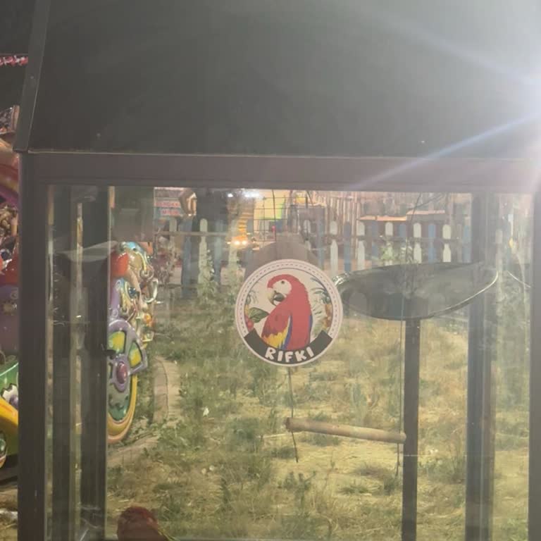 Papağana Yapılan Kafes Zulmü