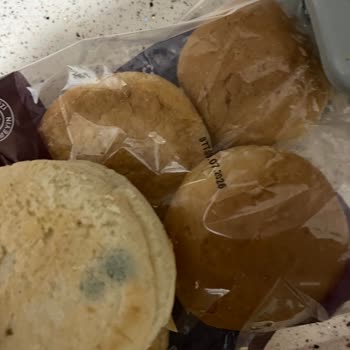 Son Tüketim Tarihi Geçmemiş Üründe Küf Ve Bozukluk Sorunu