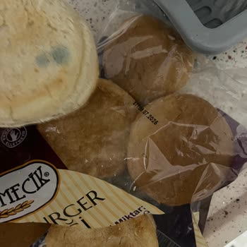 Son Tüketim Tarihi Geçmemiş Üründe Küf Ve Bozukluk Sorunu