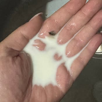 Sütaş Süt İçinde Yabancı Cisim Ve Güven Sorunu