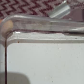 Çikolatadan Kurt Çıkması Nedeniyle Yaşanan Sağlık Endişesi