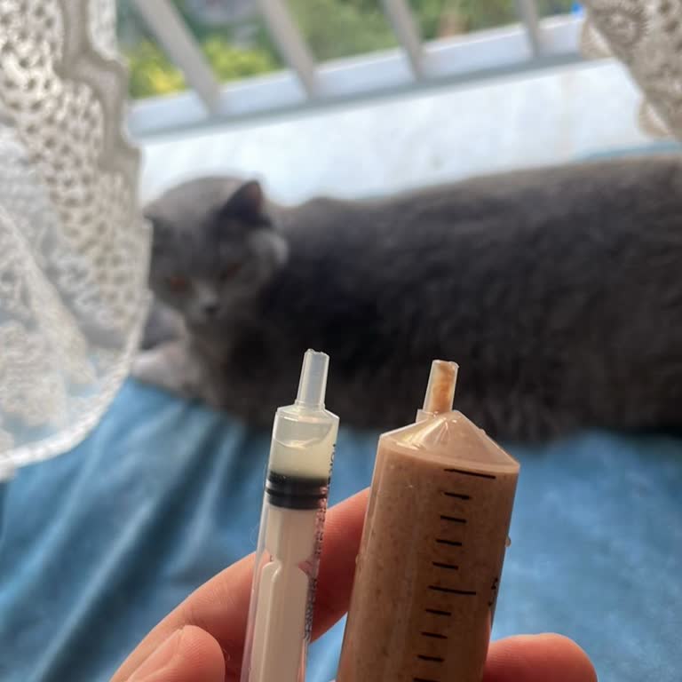 Veternal Veteriner Kliniği