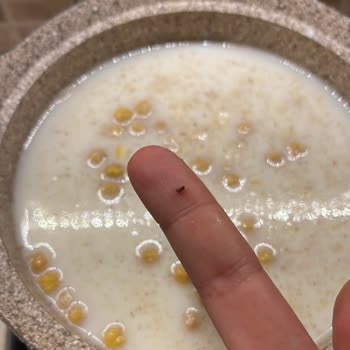 Dr. Oetker Aşure Paketinden Böcek Çıktı, Hayal Kırıklığına Uğradım