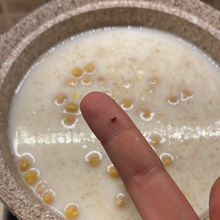 Dr. Oetker Aşure Paketinden Böcek Çıktı, Hayal Kırıklığına Uğradım
