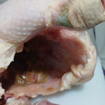 Aldığım Tavuk Bozuk Ve Sağlıksız Çıktı, Ücret İadesi Bekliyorum