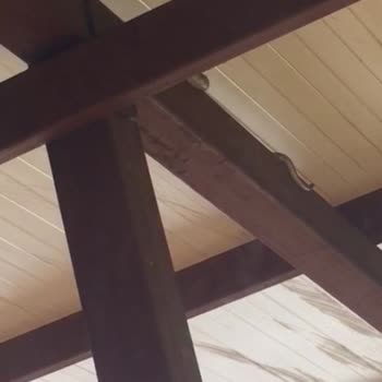 Evimin Yanındaki Çöplükten Yayılan Kötü Koku Ve Haşere Sorunu