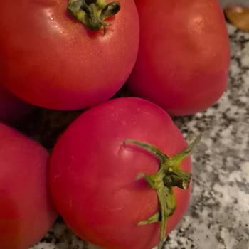 Getir Bozuk Ve Eksik Ürünlere Çözüm Sunulmadı