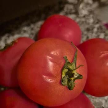 Getir Bozuk Ve Eksik Ürünlere Çözüm Sunulmadı