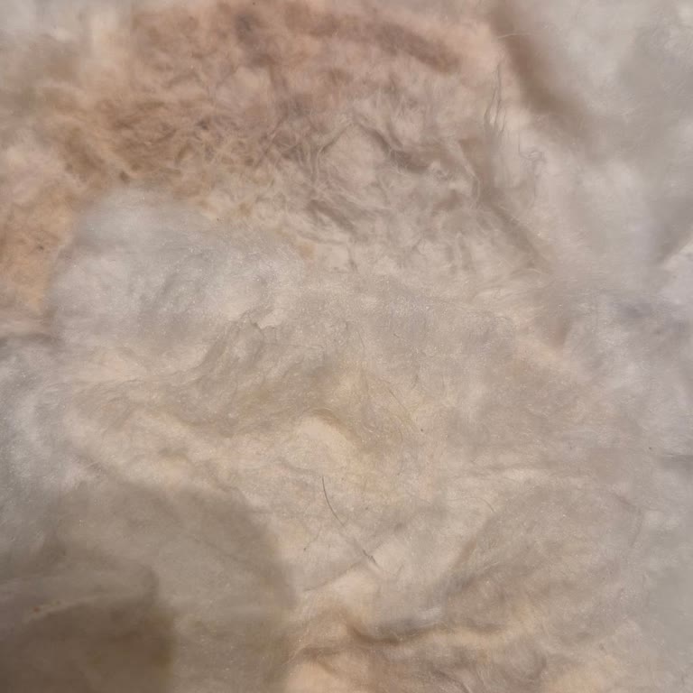 Nova Beauty Center Tunalı Cilt Bakımından Anlamıyor