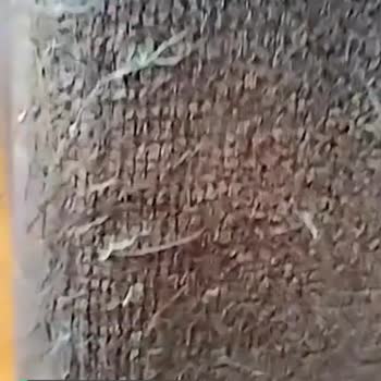 Doğtaş Mobilya Koltuk Takımı Pati Dostu Kumaş Adı Altında Satılan Ürün!