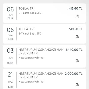 Tosla'da Param Kayboldu, Destek Cevap Vermiyor!