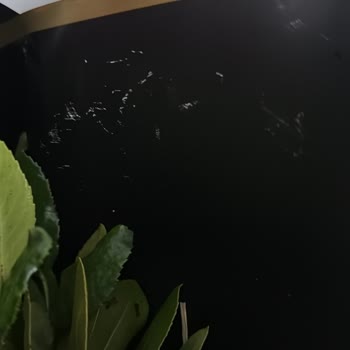 Eksik Ve Özensiz Çiçek Gönderimi Hayal Kırıklığı Yarattı