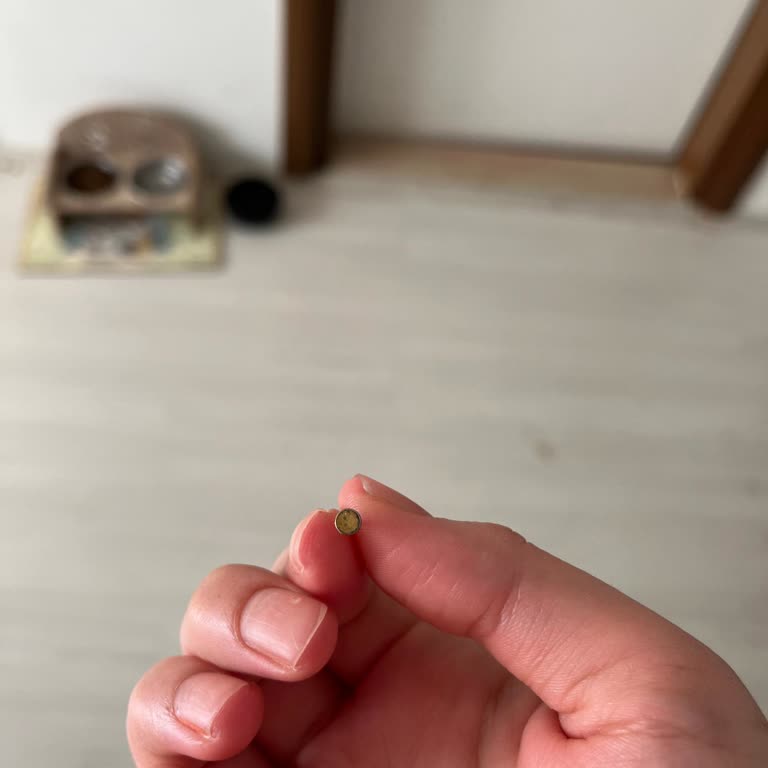 Ayıplı Piercing Ürünü Ve İade Sorunu: Sağlığım Tehlikeye Girdi