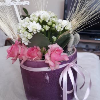 Yanlış Saksı Ve Kurdeleyle Teslimat, İade Sürecinde Sorun