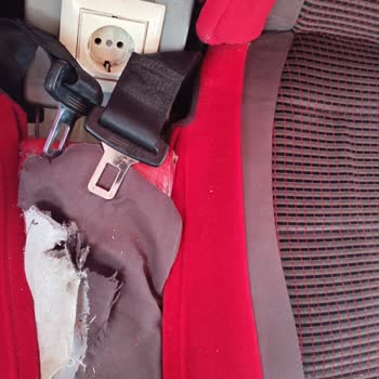 Hisar Tur Otobüsünde Konforsuz Ve Kötü Deneyim