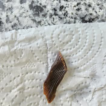 Aldığım Makarnanın İçinden Yanık Ve Siyah Parça Çıktı