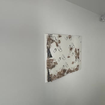 Sum İlaçlama Memnun Kalmama