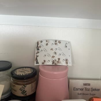 Sum İlaçlama Memnun Kalmama