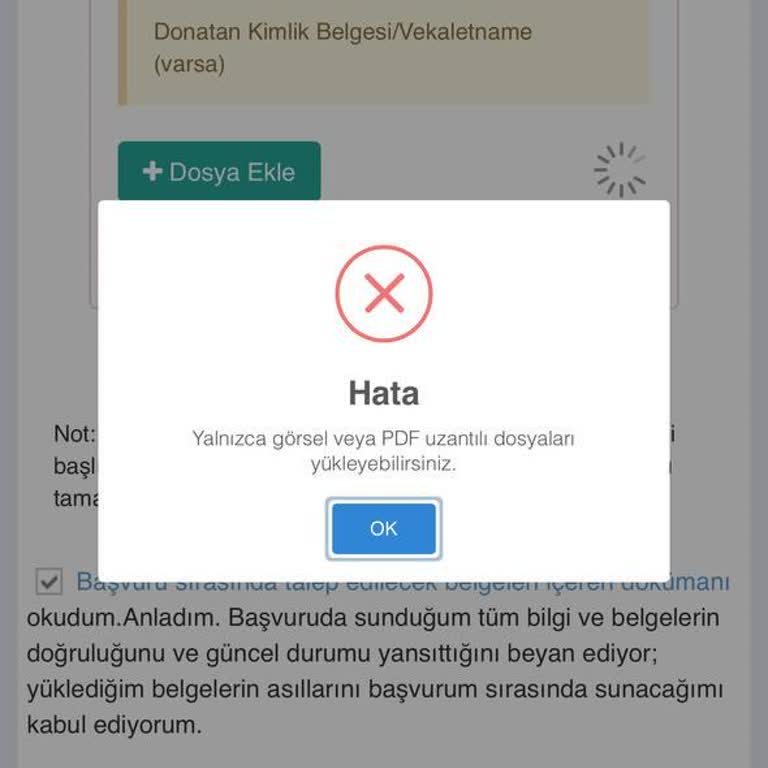 Umurbey E-Denizcilik Portalında Randevu Alamama Ve Sürekli Sistem Hatası