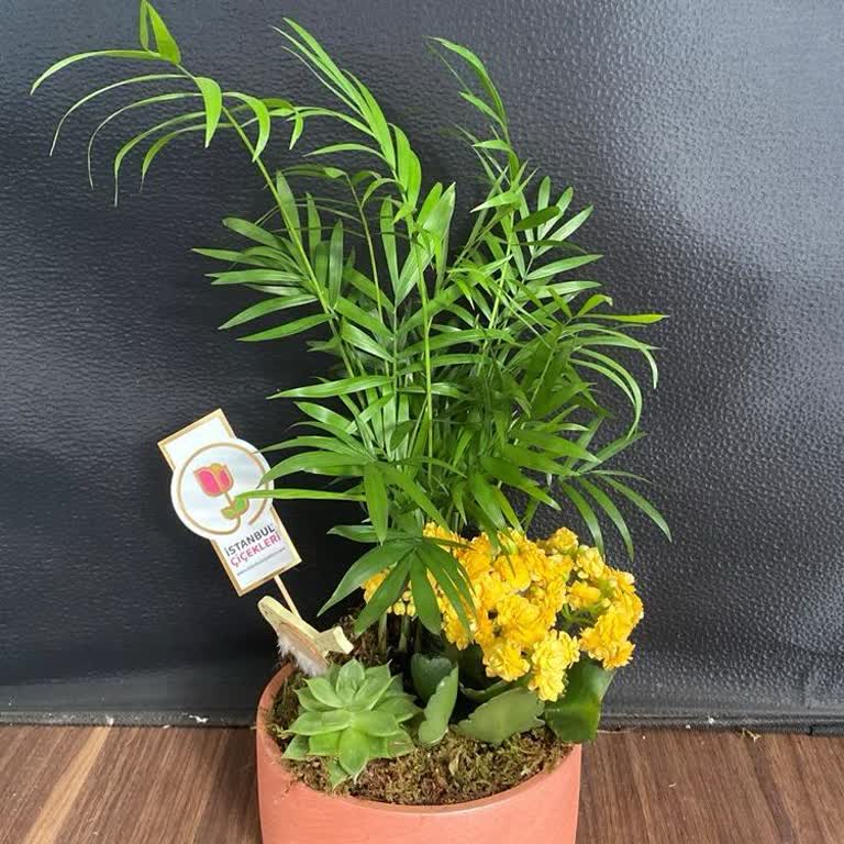 Yanlış Ürün, Solmuş Çiçek Ve İlgisiz Müşteri Hizmetiyle Hayal Kırıklığı